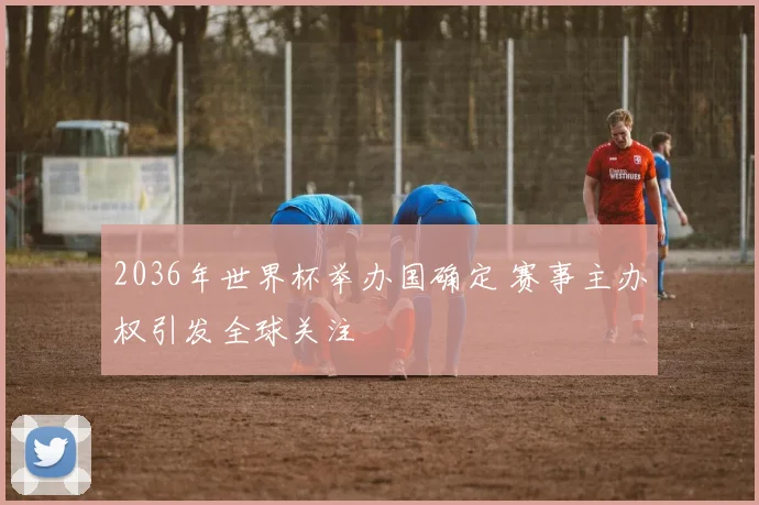 2036年世界杯举办国确定 赛事主办权引发全球关注