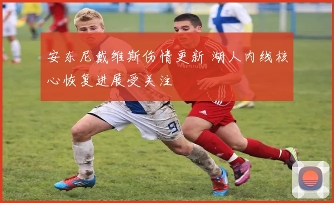 安东尼戴维斯伤情更新 湖人内线核心恢复进展受关注