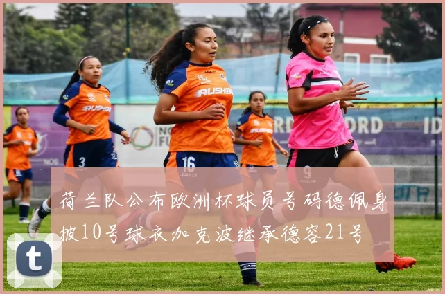 荷兰队公布欧洲杯球员号码德佩身披10号球衣加克波继承德容21号