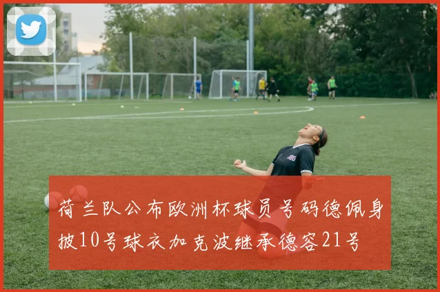 荷兰队公布欧洲杯球员号码德佩身披10号球衣加克波继承德容21号