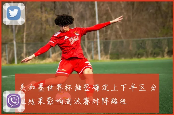 美加墨世界杯抽签确定上下半区 分组结果影响淘汰赛对阵路径