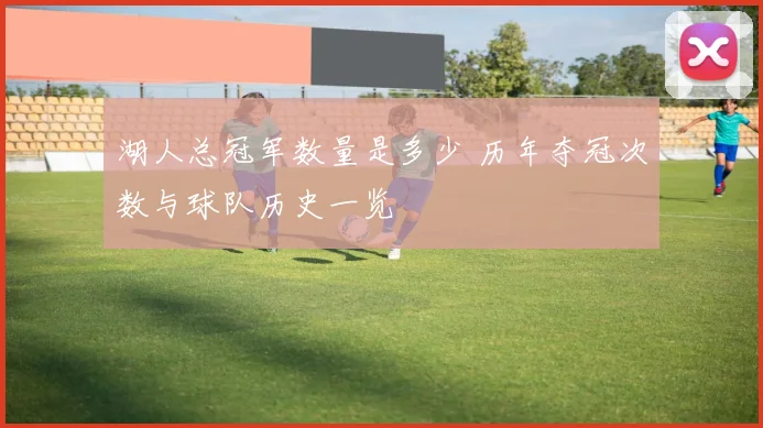 湖人总冠军数量是多少 历年夺冠次数与球队历史一览
