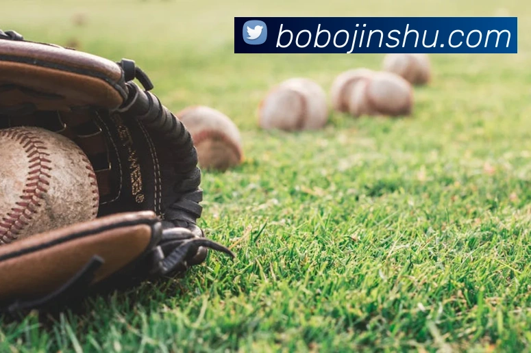 米兰app官网入口APP 封面图